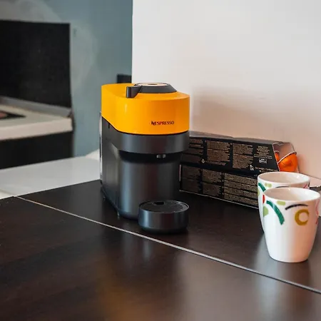 Magic House-dorobanti *