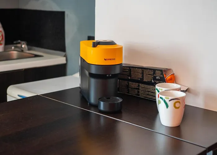 Magic House-dorobanti *