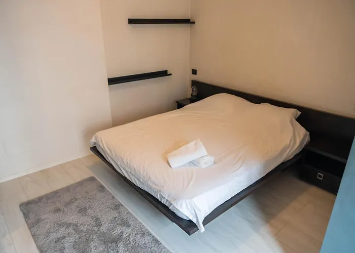 Magic House-dorobanti *